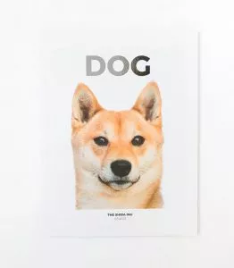 10 publishers - Dog Mag