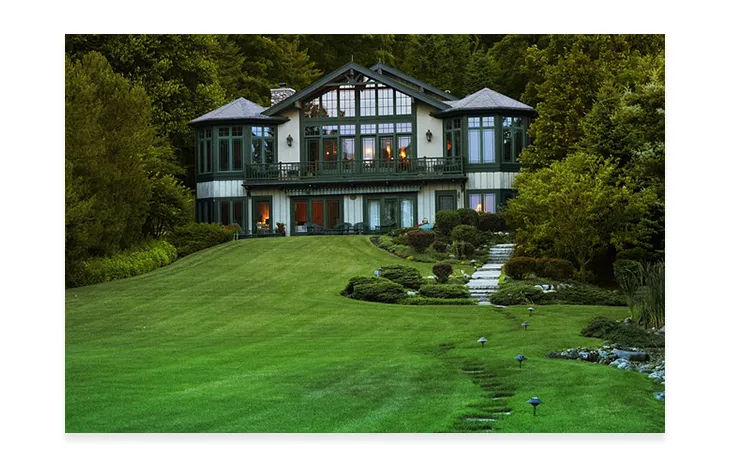 modern house in a green area surrounded by trees