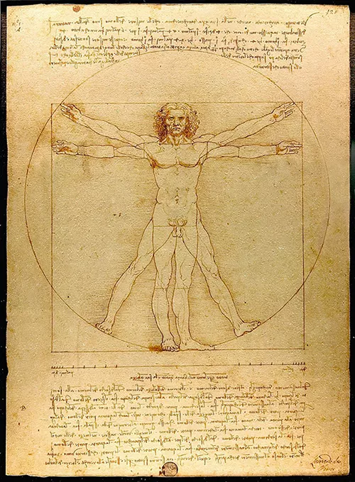 da vinci vitruvian man as an example of balance in design