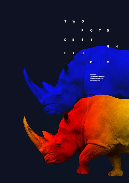 poster with rhinoceros illustrating contrast as one of 10 graphic design basics