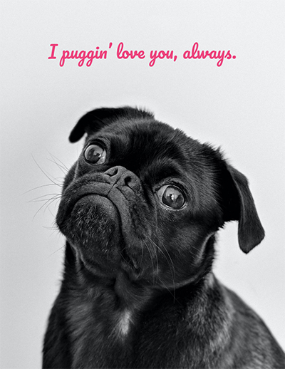 What to write in a valentines day card for your pet