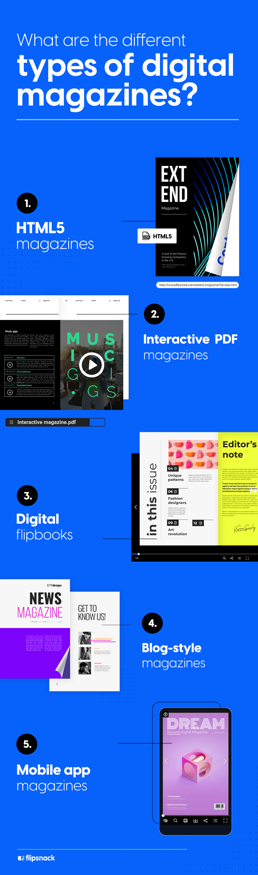 infographic on the different types of digital magazines