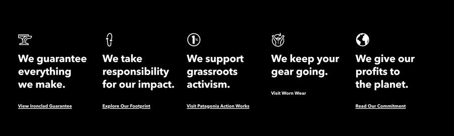 Patagonia brand values