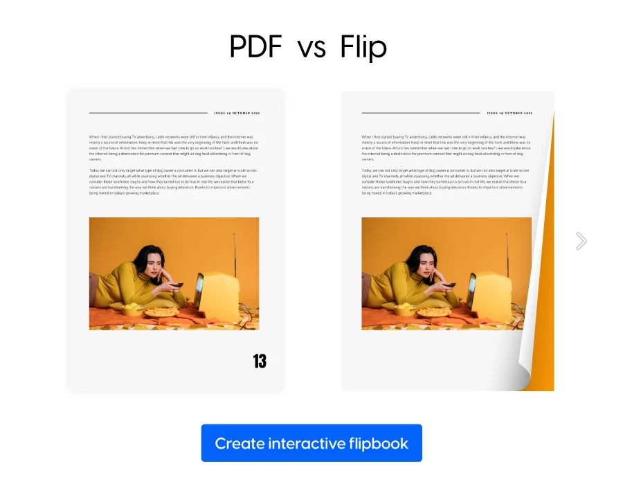 PDF and flipbook comparison