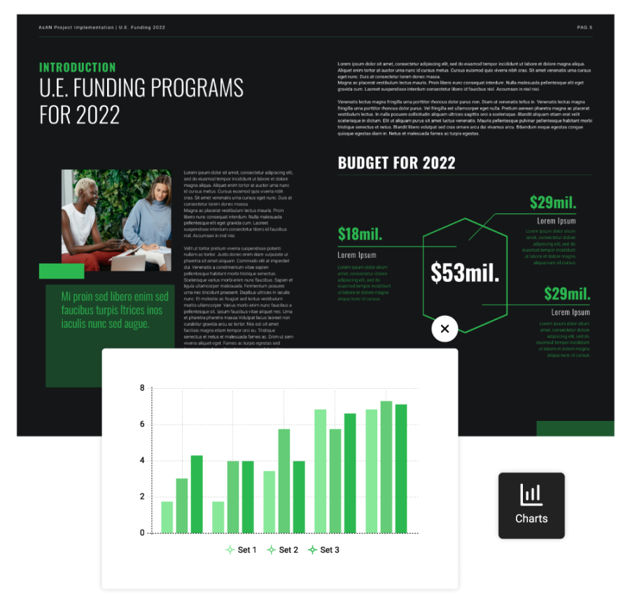 Charts made in Flipsnack's Design Studio