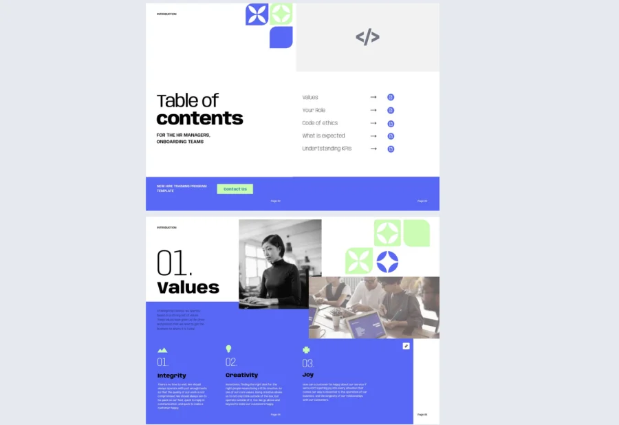 Professional New Hire Training Program Template