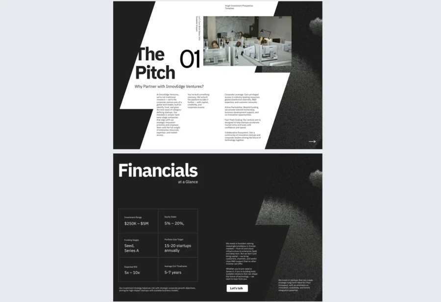 Angel Investment Prospectus Example