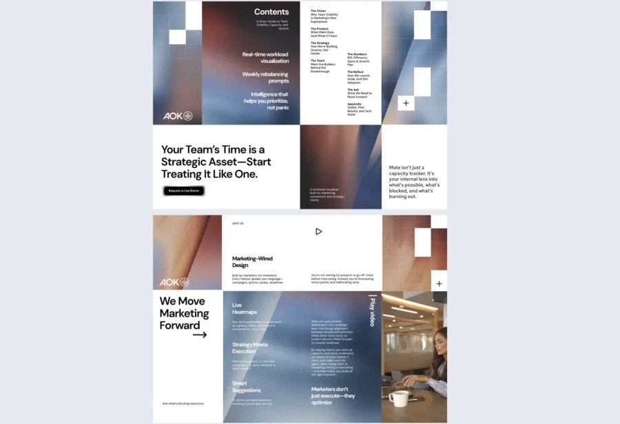 Business Plan Prospectus Template
