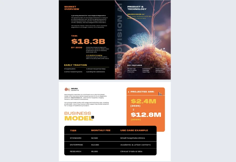 Editable Investment Prospectus Example