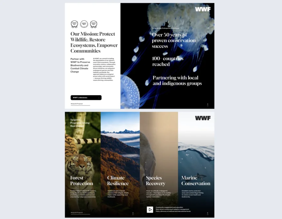 Interactive Nonprofit Proposal Template