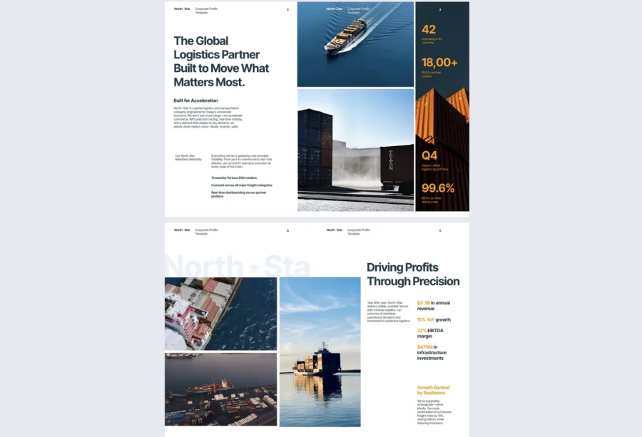 Corporate Profile Brochure Example