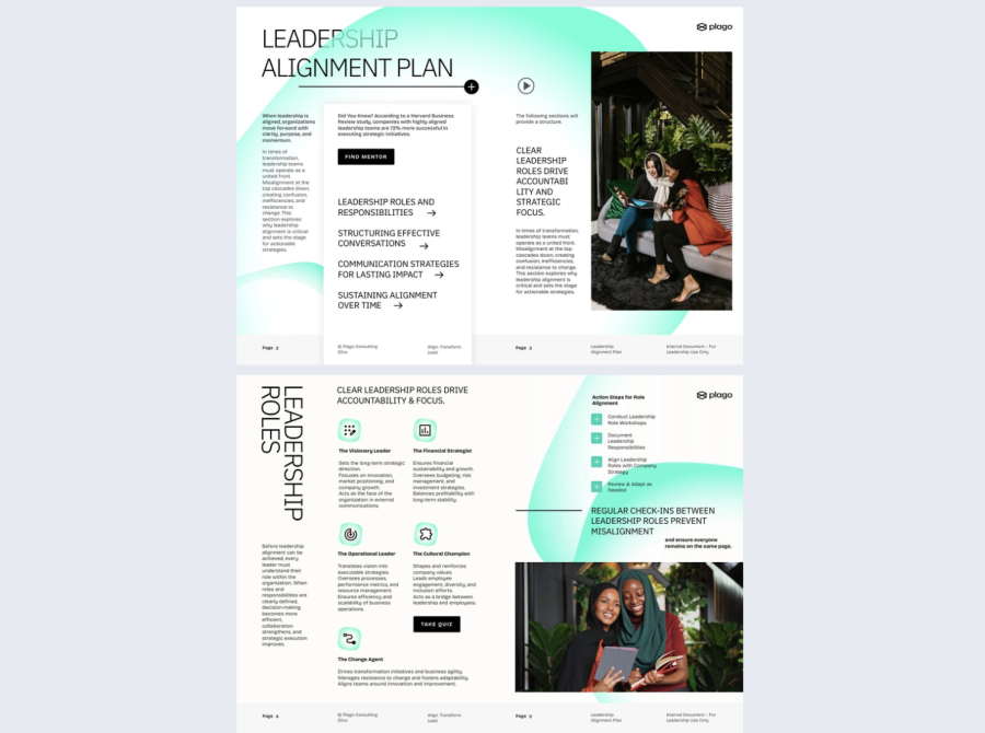 Leadership Alignment Plan Example