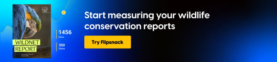 Start measuring the impact of your wildlife conservation reports
CTA: try Flipsnack